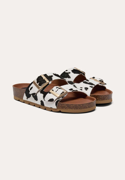 Amust Alba Cow Black